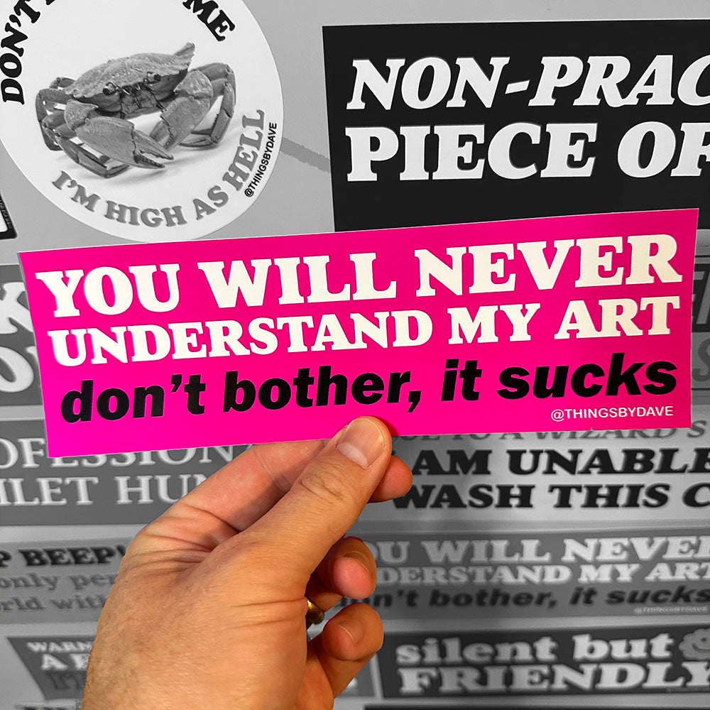 YOU WILL NEVER UNDERSTAND MY ART