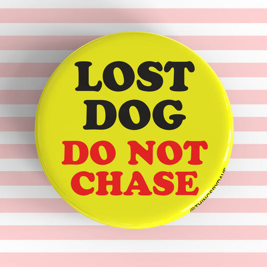 LOST DOG DO NOT CHASE