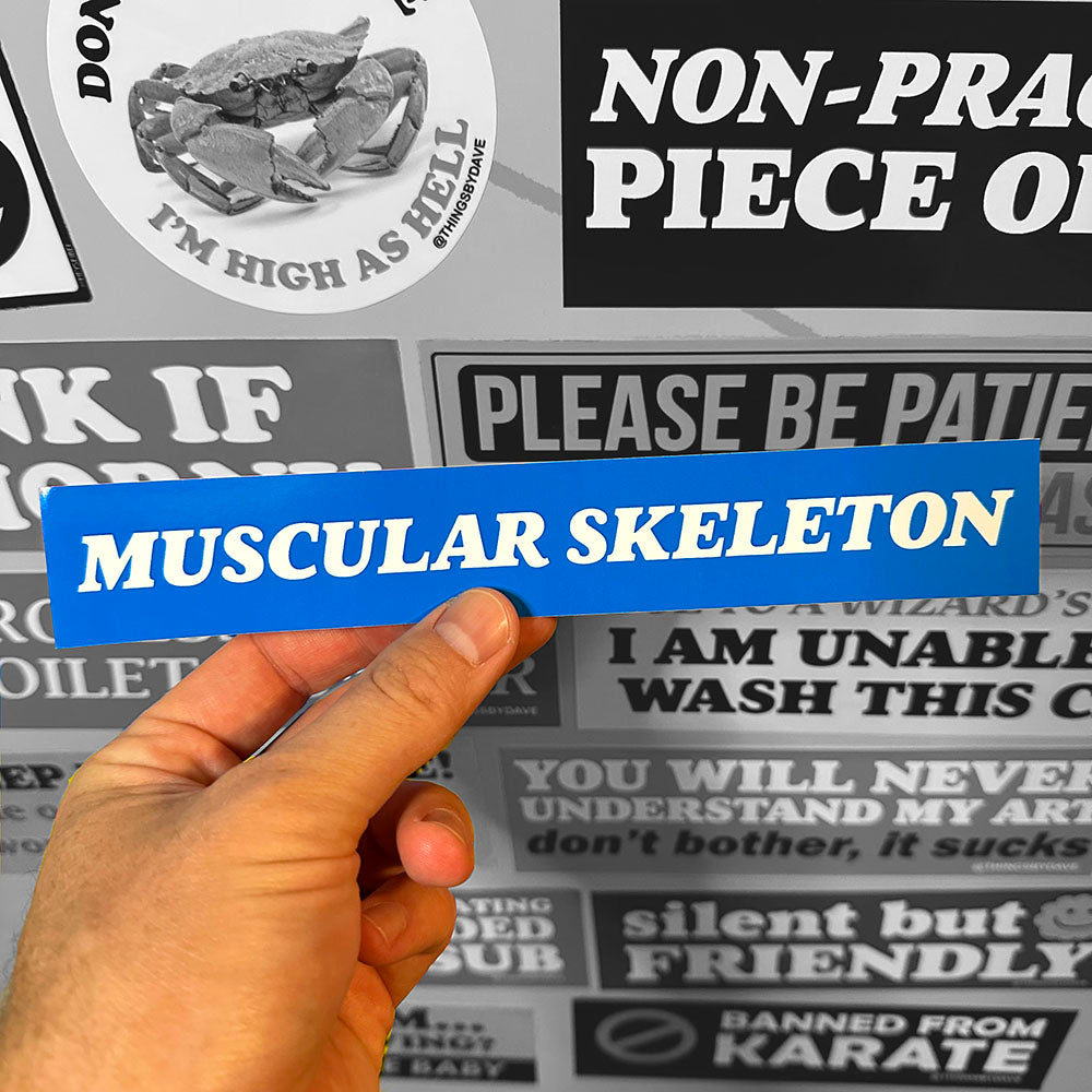 MUSCULAR SKELETON